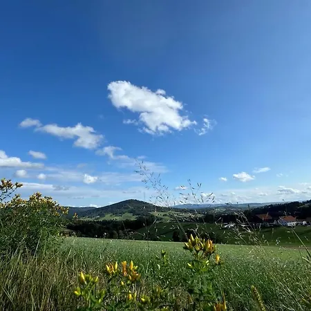 In Hauzenberg